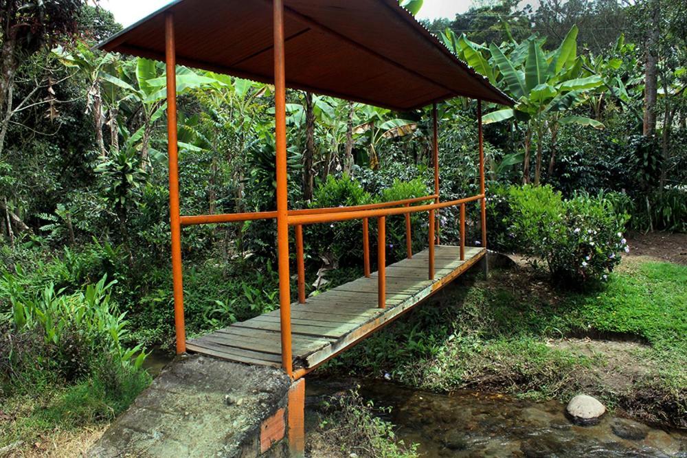 Cabañas Finca Villa Natalia Salento Exterior foto